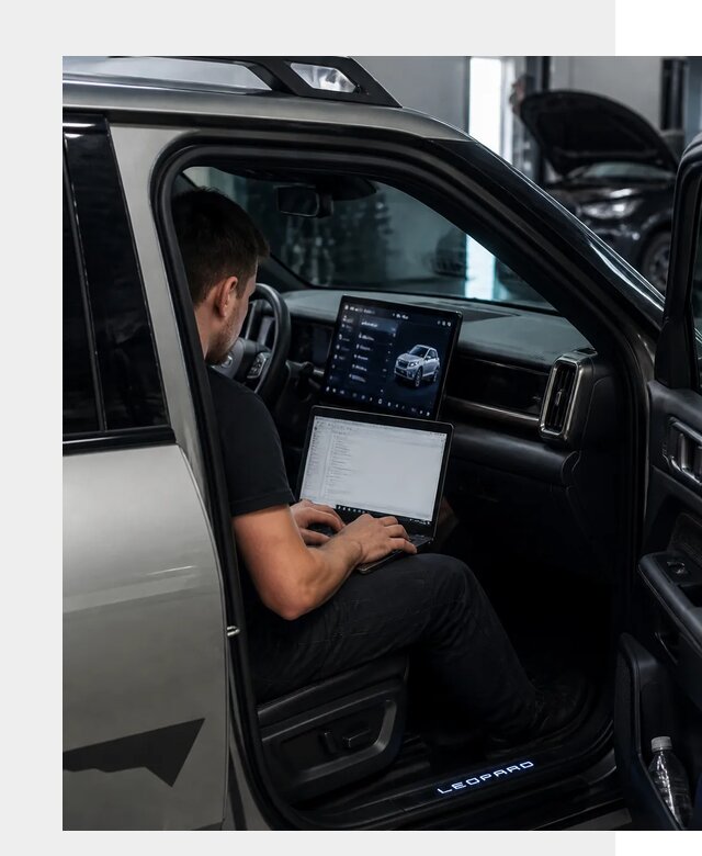 Русификация BYD Leopard 3 в Ангарске по цене от 20445 р. | ФастМобиль-Нгр